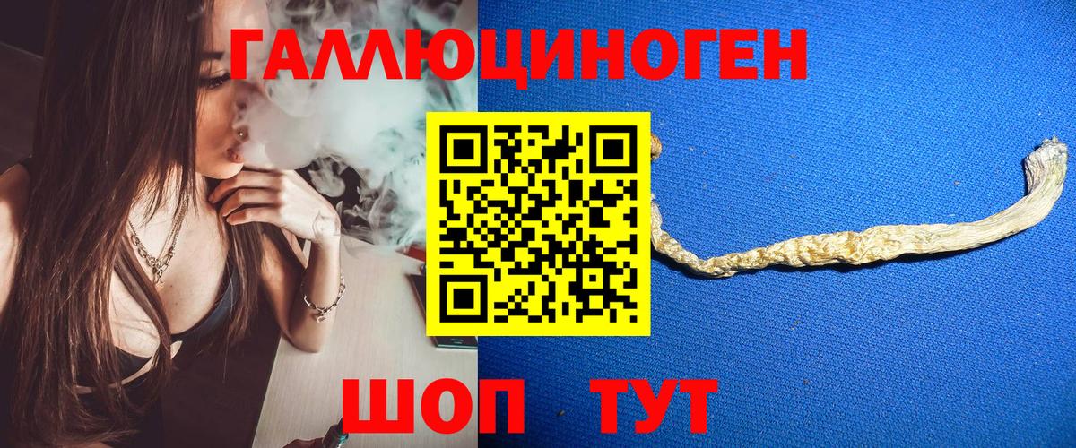 Псилоцибиновые грибы Cubensis  Вход с VPN  Псилоцибиновые грибы MAGIC MUSHROOMS  Михайловка 