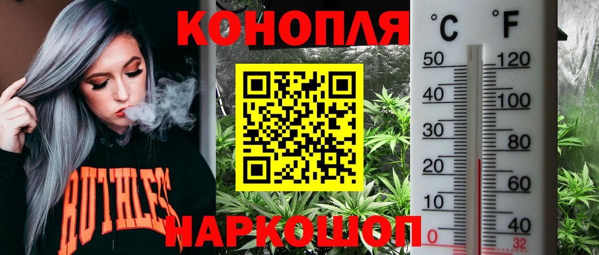 Бошки Шишки VHQ Михайловка